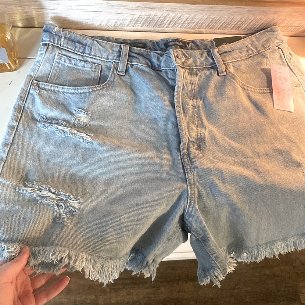 Brand New Wild Fable size 14 Frayed Shorts